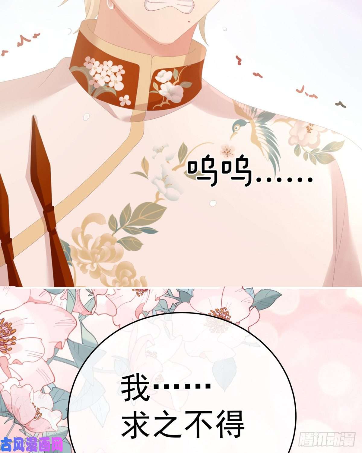 女帝的后宫官宣孩子爹