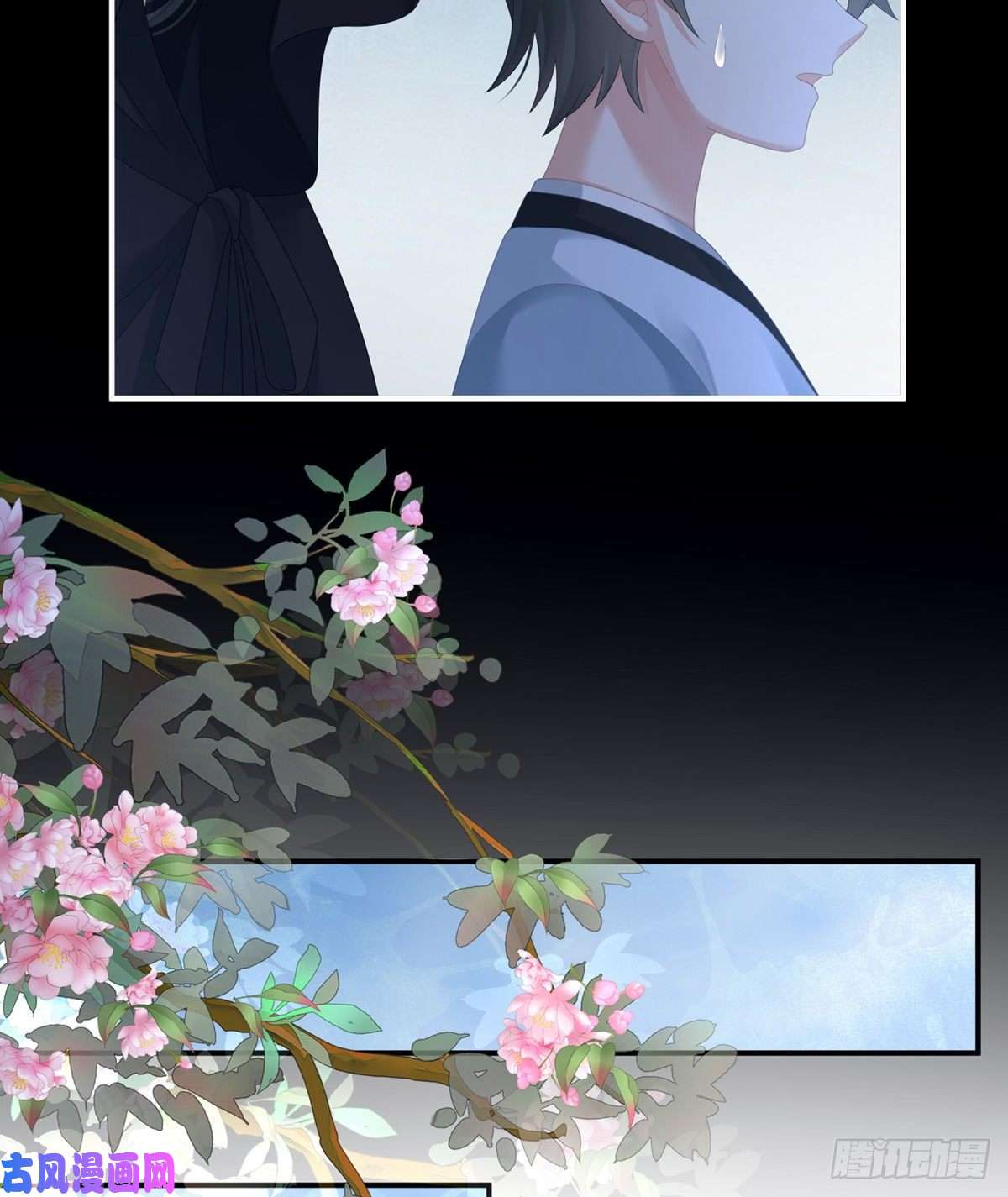 女帝的后宫无力话天