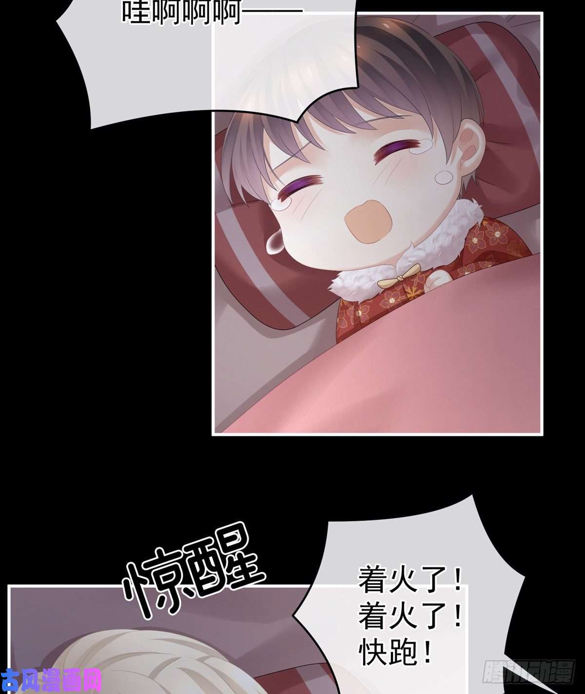 女帝的后宫火烧宁王府