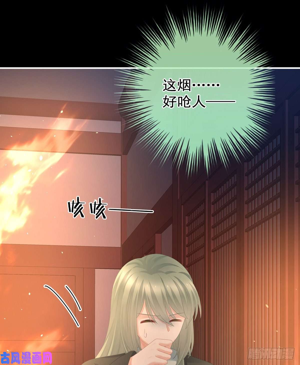 女帝的后宫火烧宁王府