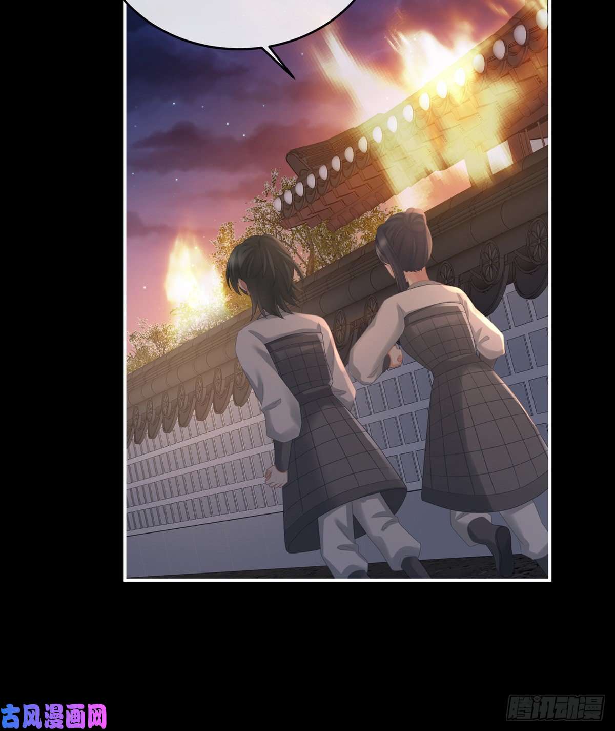 女帝的后宫小白的怒火