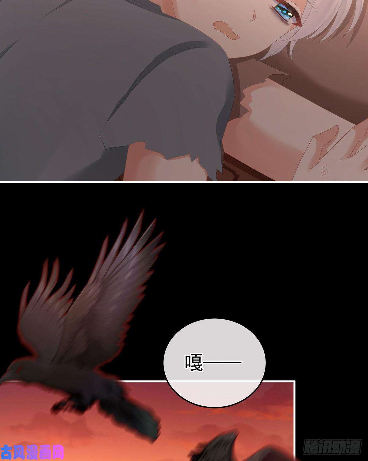 女帝的后宫人间地狱