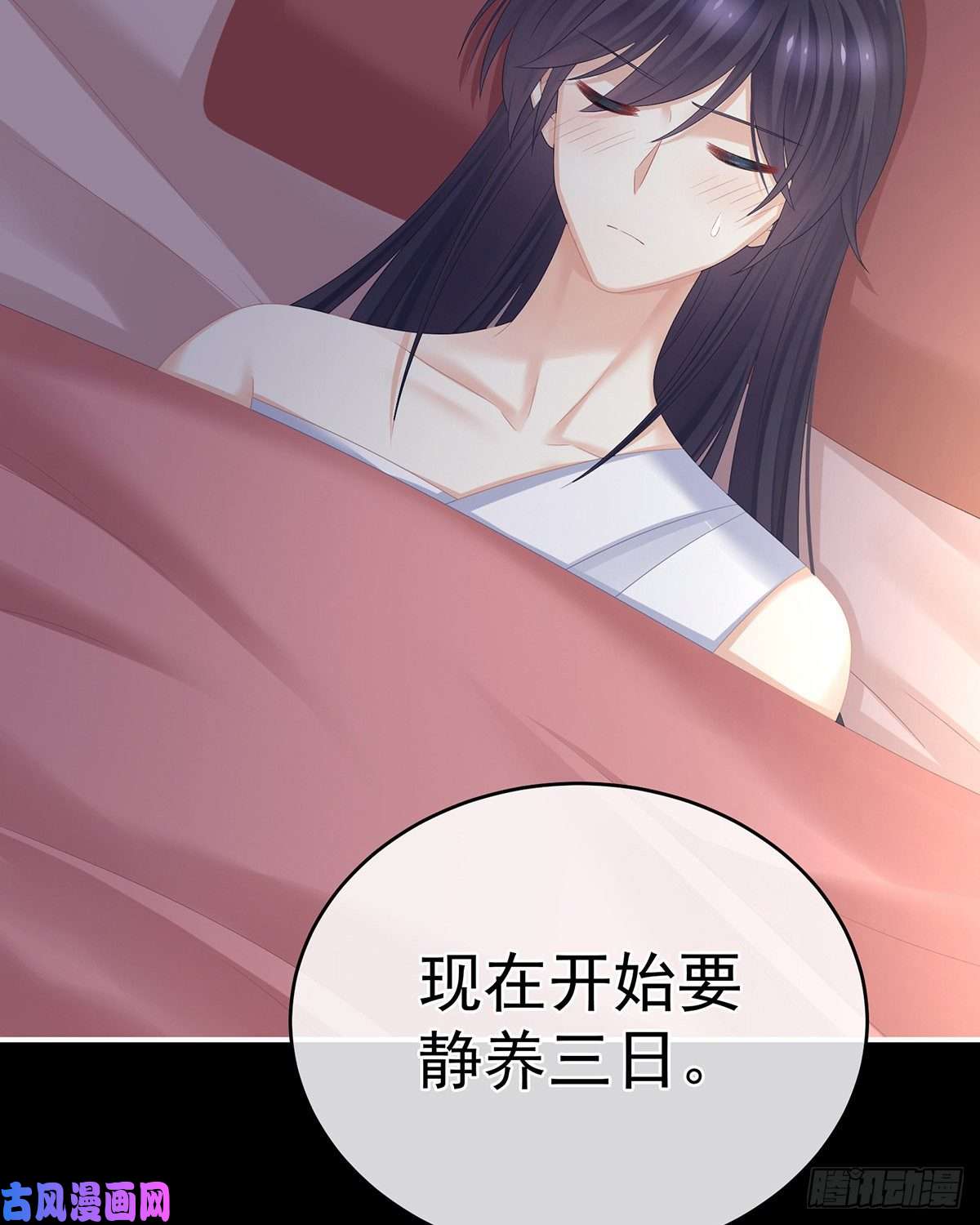 女帝的后宫不会亲亲的笨蛋