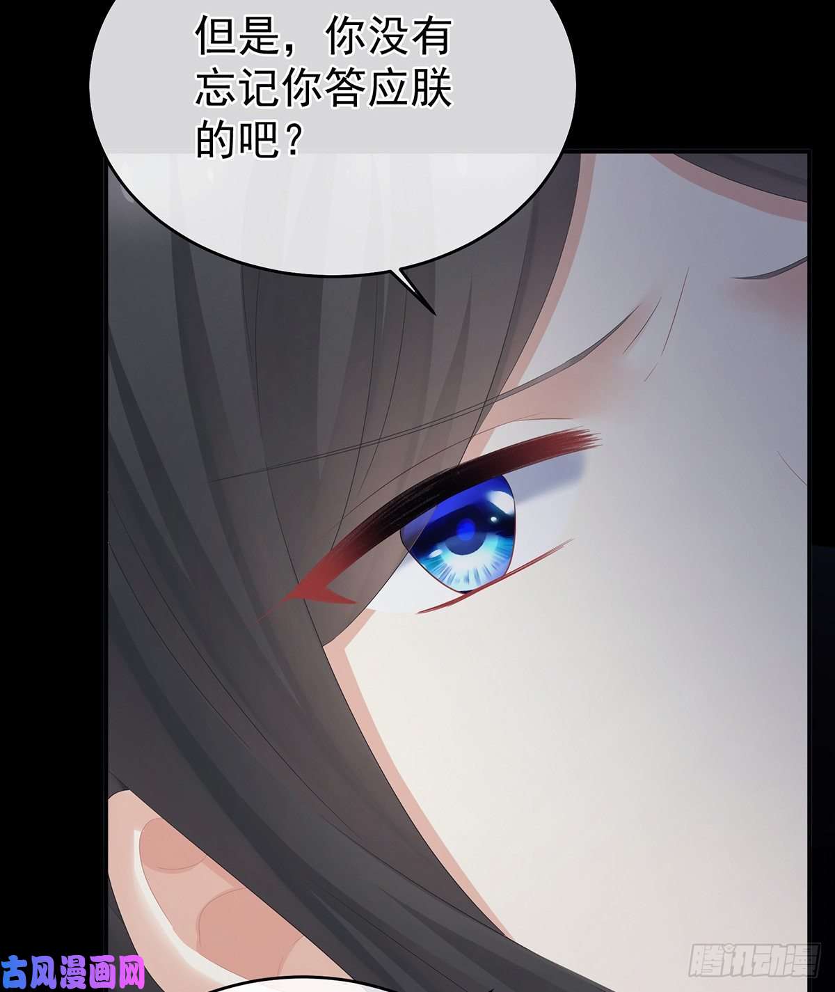 女帝的后宫若连你也不在了