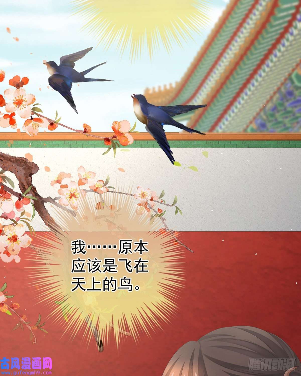 女帝的后宫笼中鸟