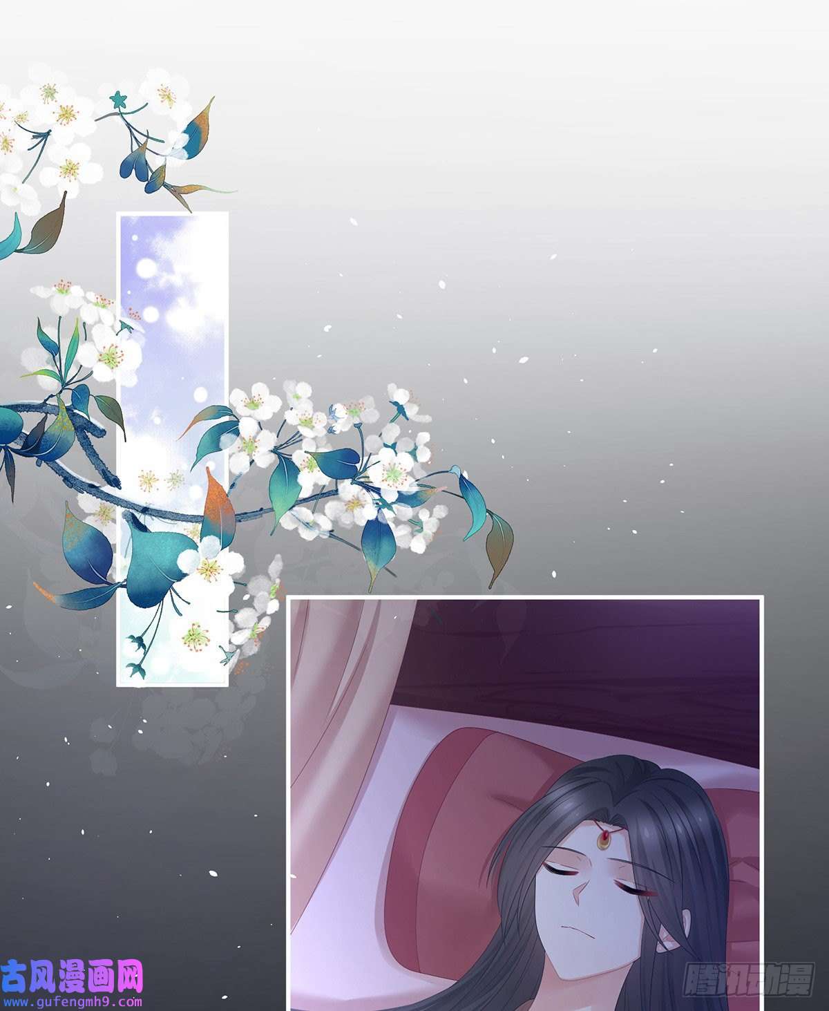 女帝的后宫笼中鸟