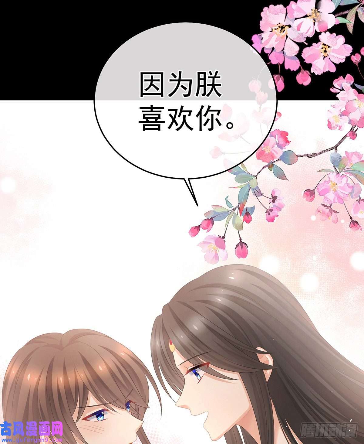 女帝的后宫笼中鸟