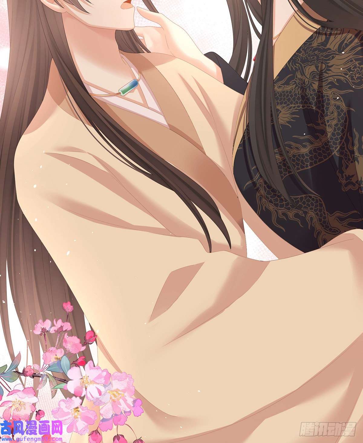 女帝的后宫笼中鸟