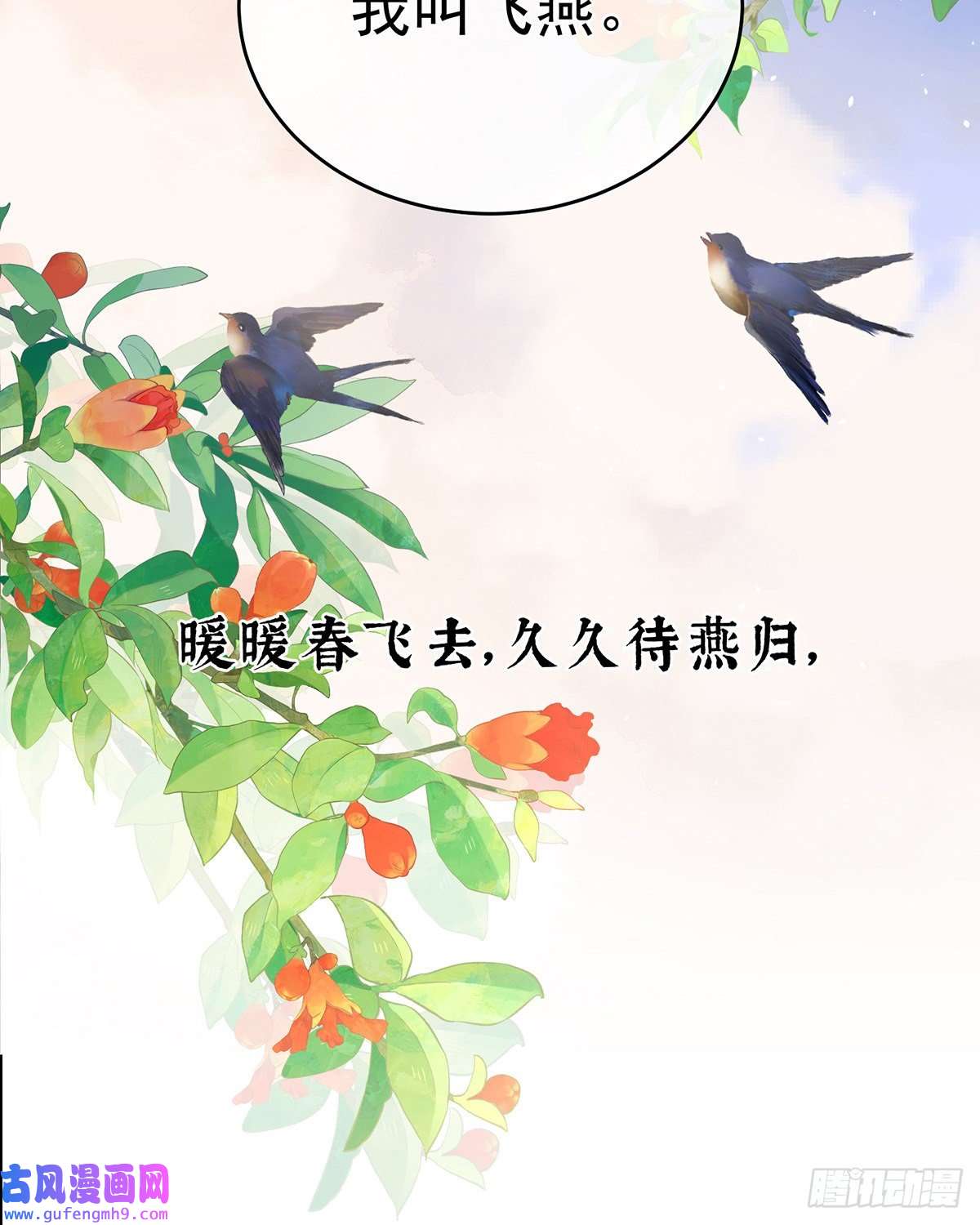 女帝的后宫笼中鸟