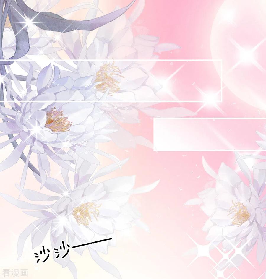 女帝的后宫200话 宁王大婚