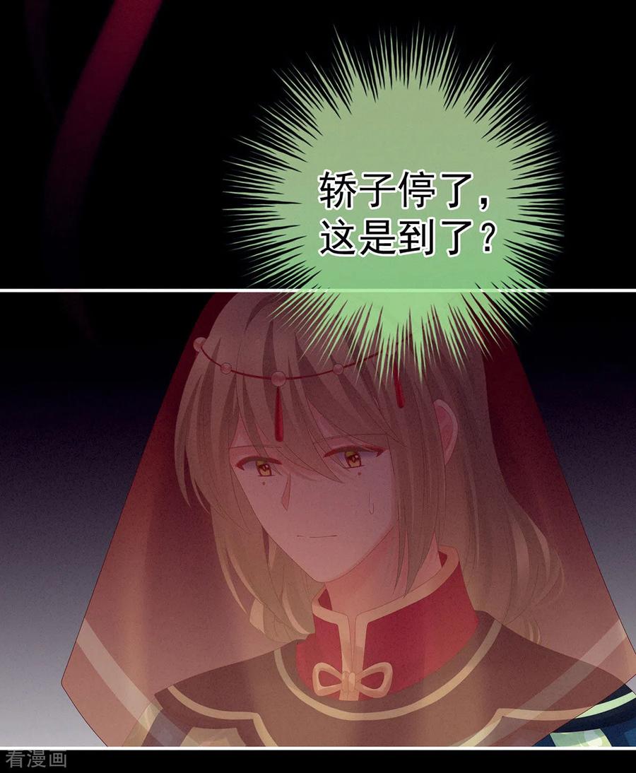 女帝的后宫200话 宁王大婚