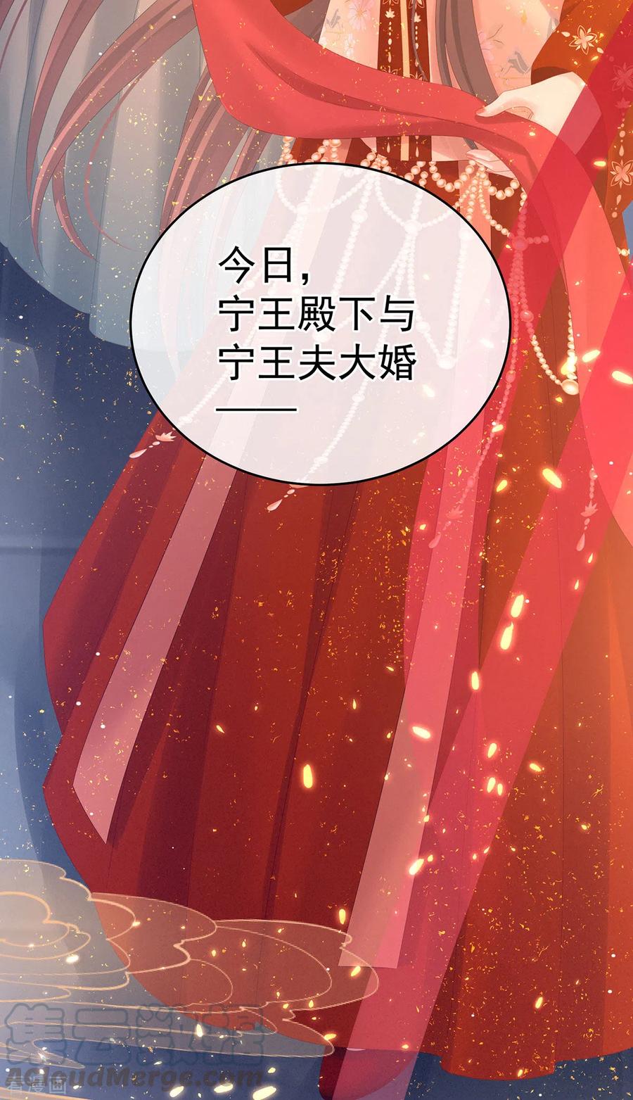 女帝的后宫200话 宁王大婚