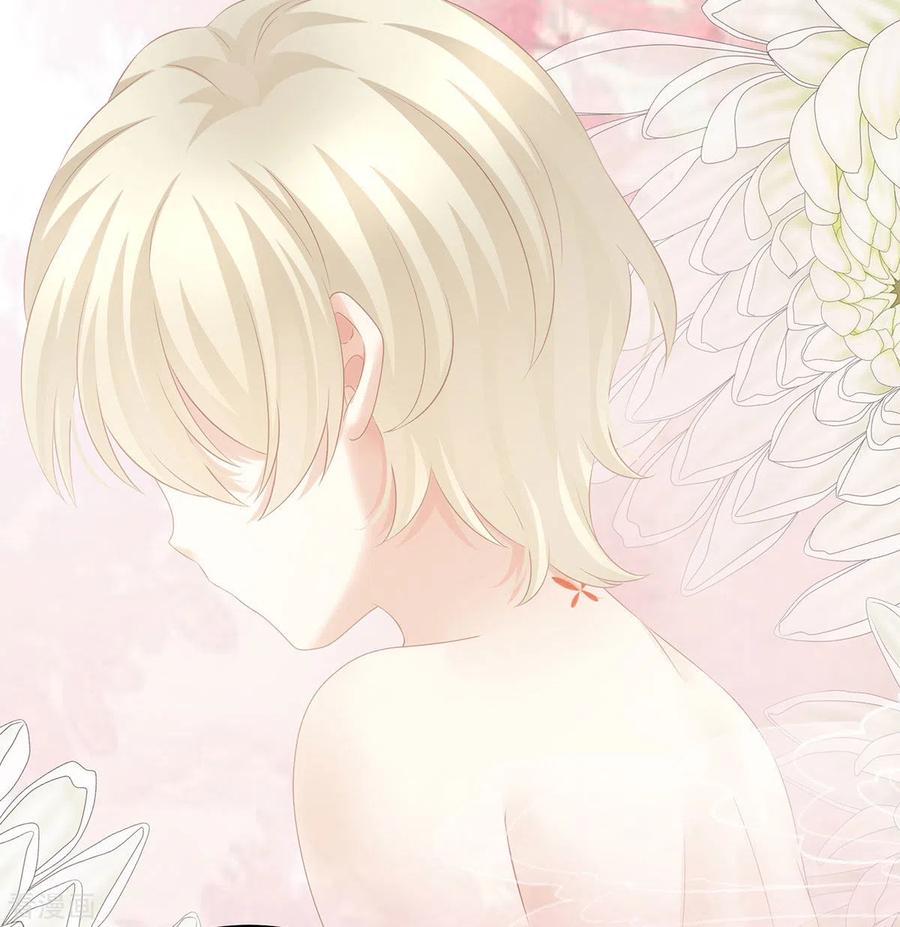 女帝的后宫209话 和亲