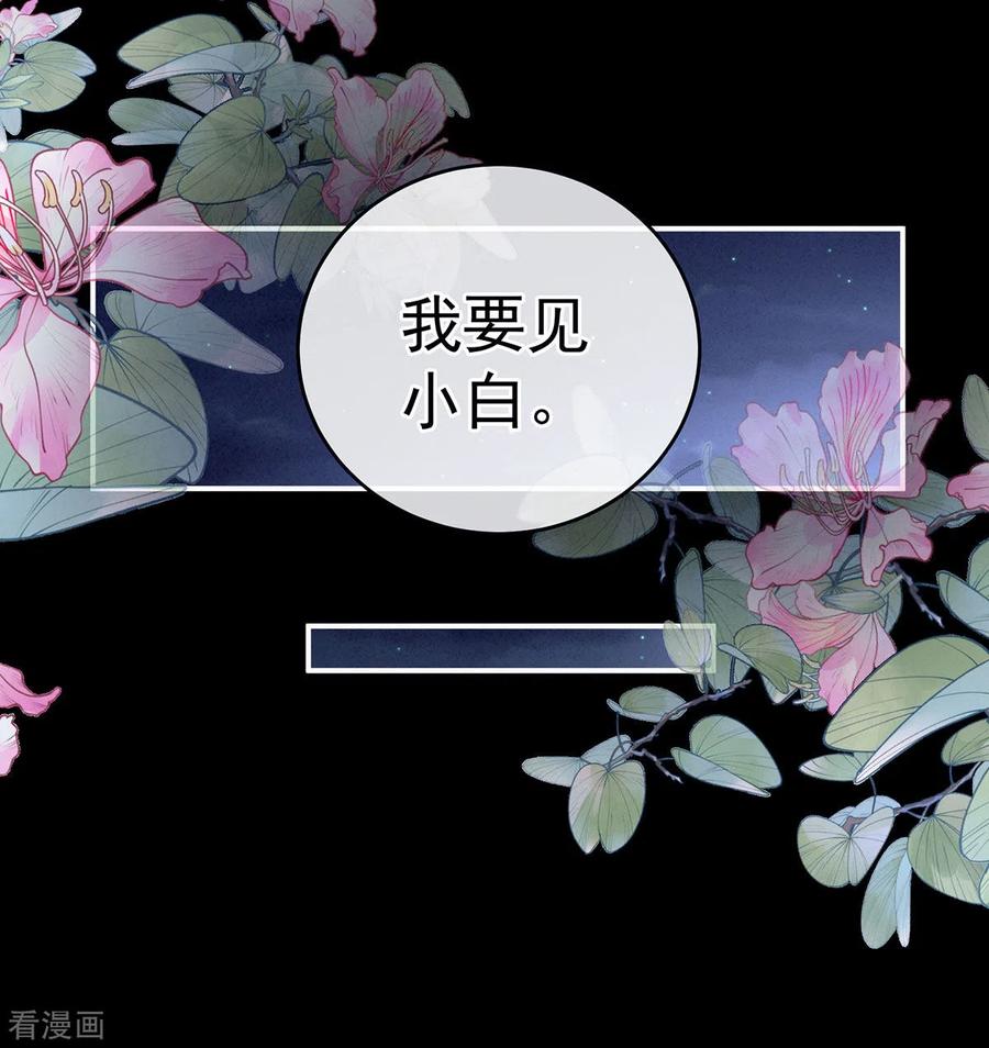 女帝的后宫225话 男人果然还是男人