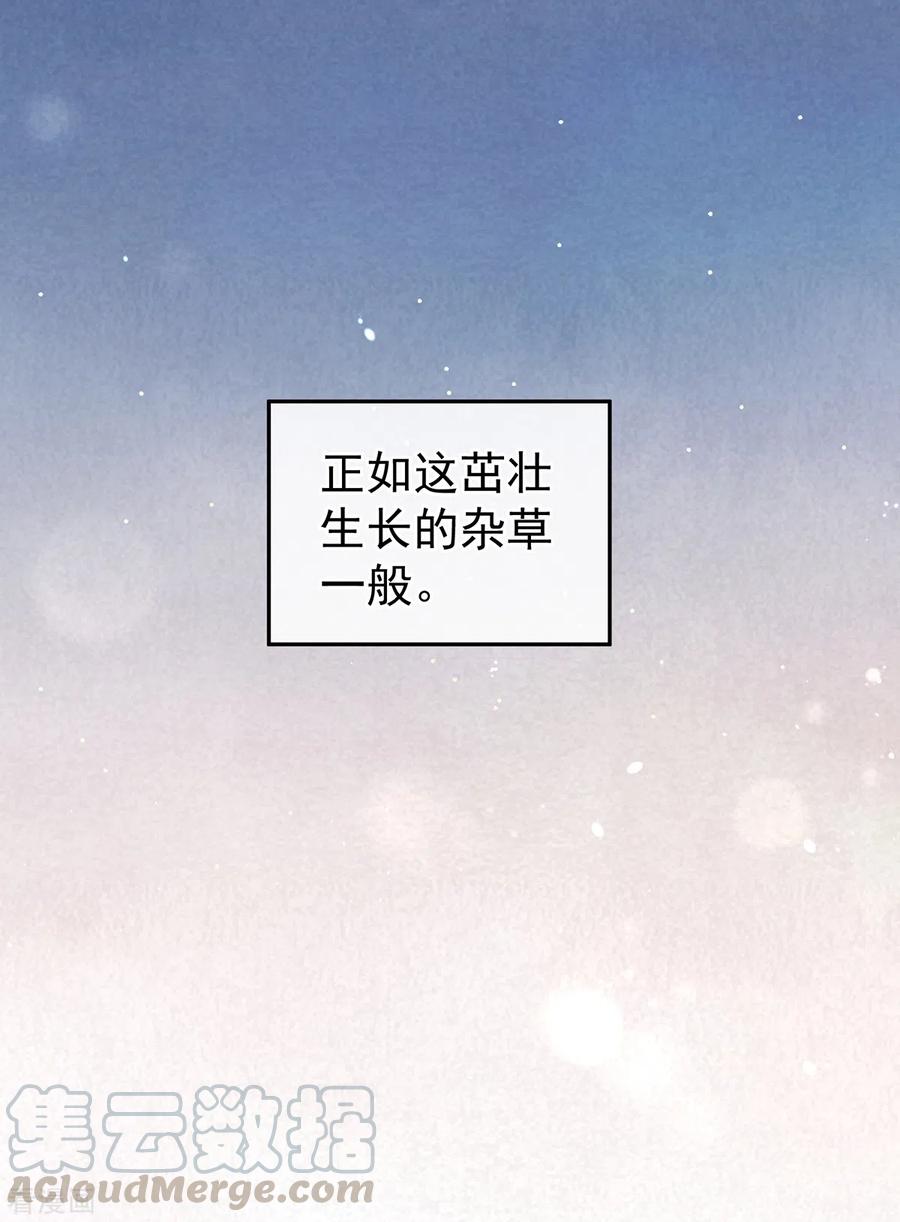 女帝的后宫250话 殓心入棺