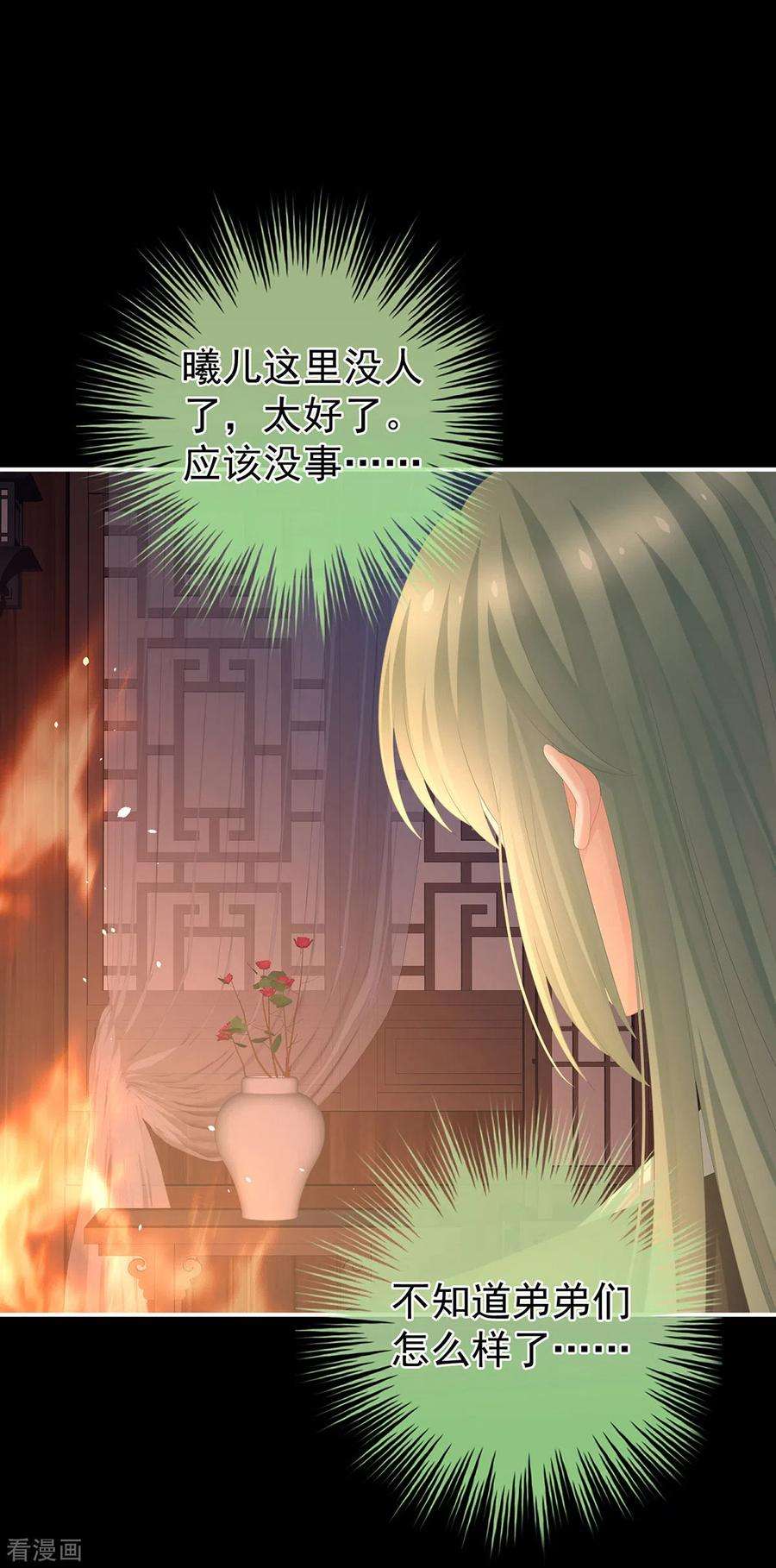 女帝的后宫297话 火烧宁王府