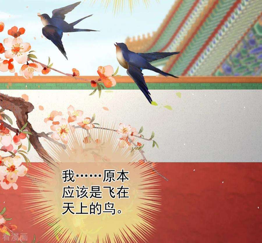 女帝的后宫341话 笼中鸟