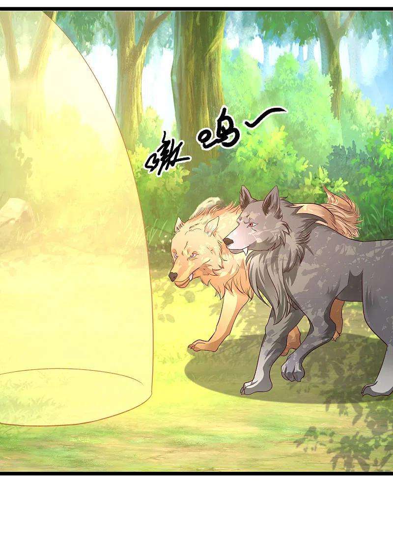 最强桃花运258话 我的宠物不可能这么熊？？？