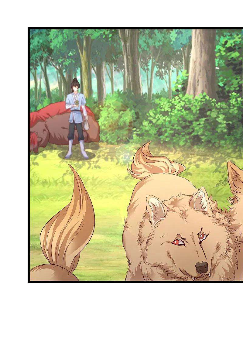 最强桃花运258话 我的宠物不可能这么熊？？？