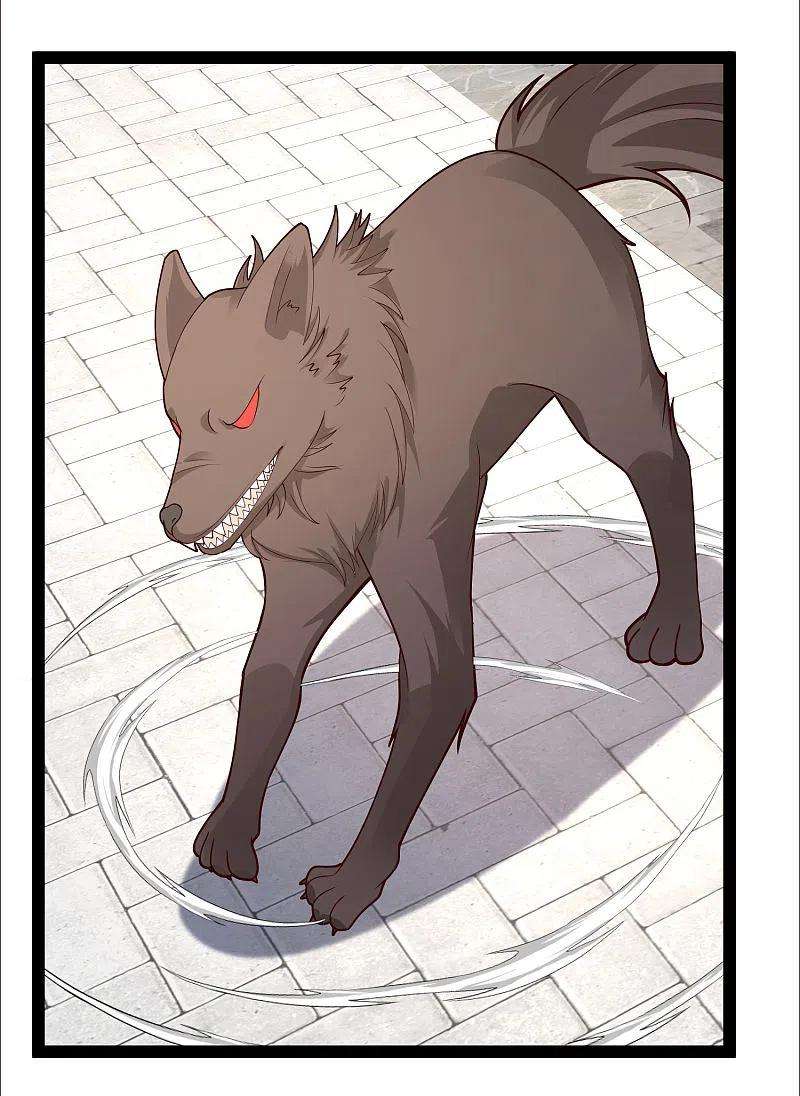 最强桃花运263话 这就打起来了？？？