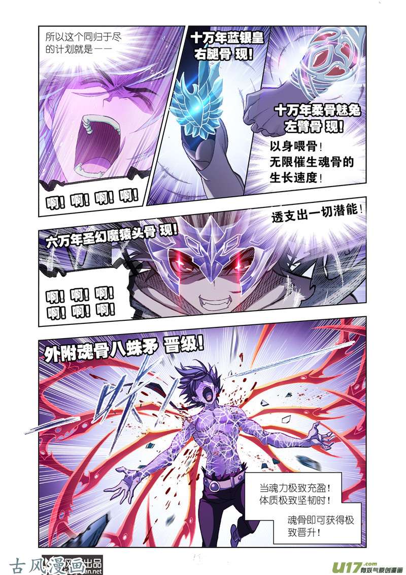 斗罗大陆365 最后的爆发（1）