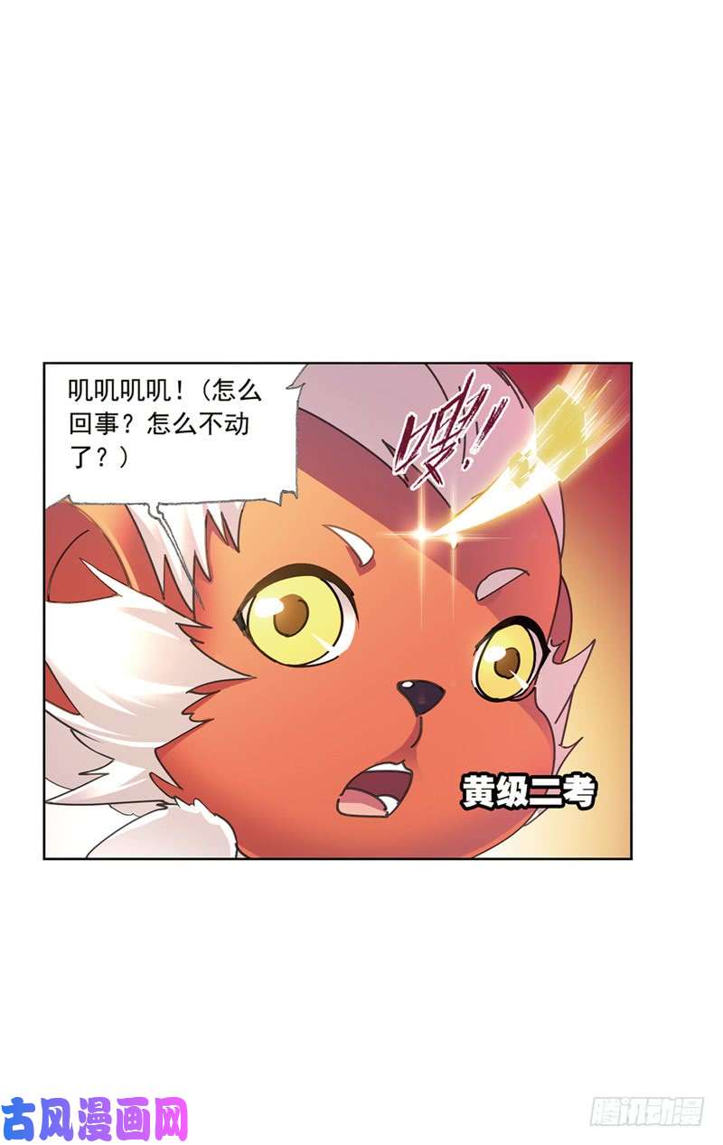 斗罗大陆第214话 海神之光（1）