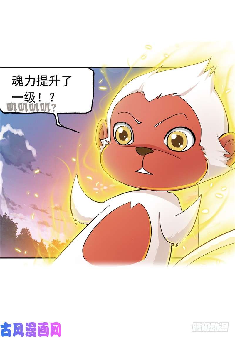 斗罗大陆第221话 传承（2）