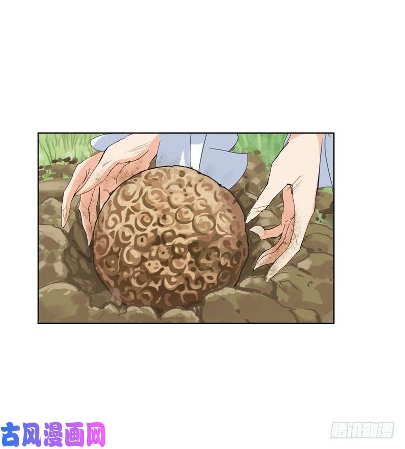 斗罗大陆第223话 简单的考验（2）