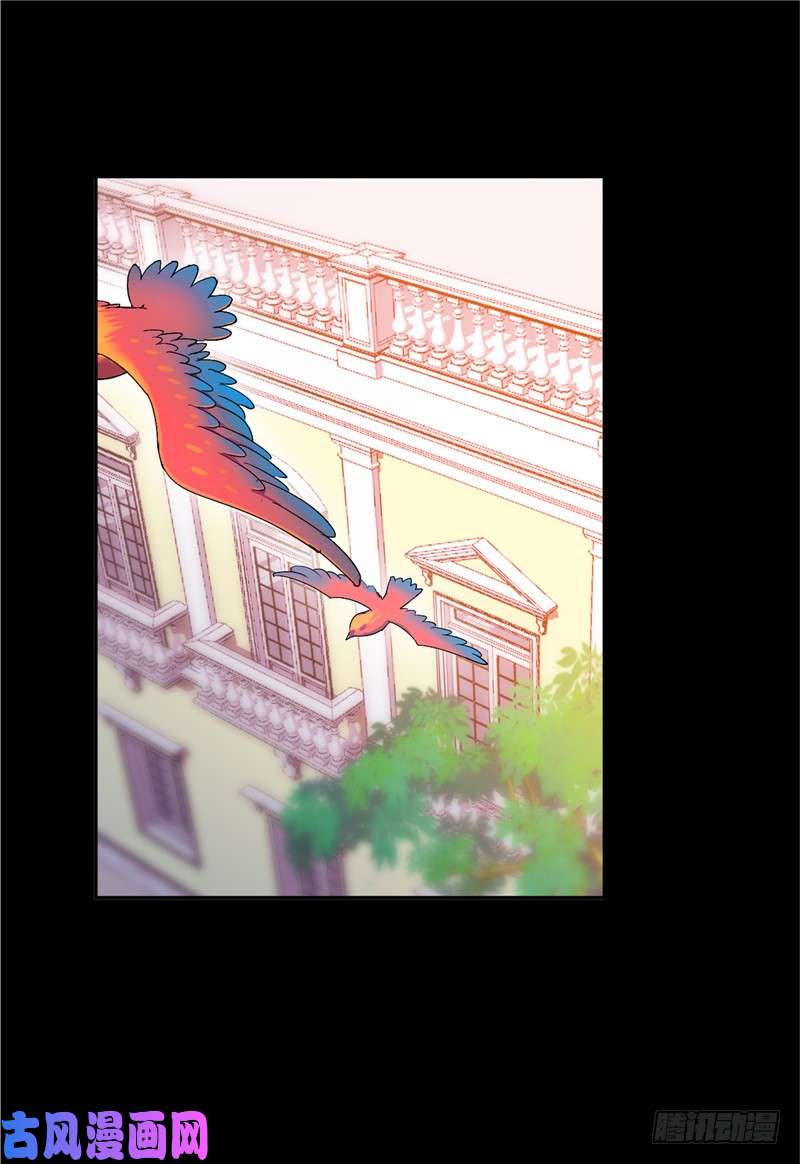 斗罗大陆第228话 史莱克冠军（1）