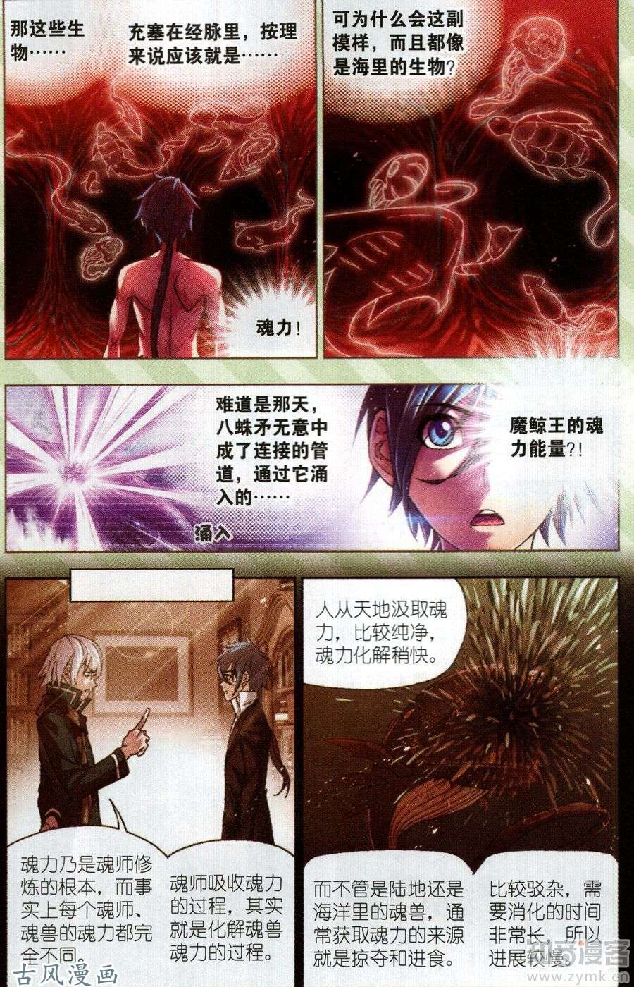 斗罗大陆第199话 紫珍珠岛