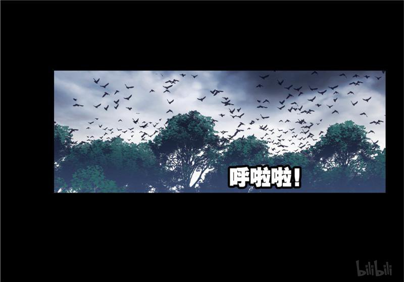 斗罗大陆255 第230话 换环（2）