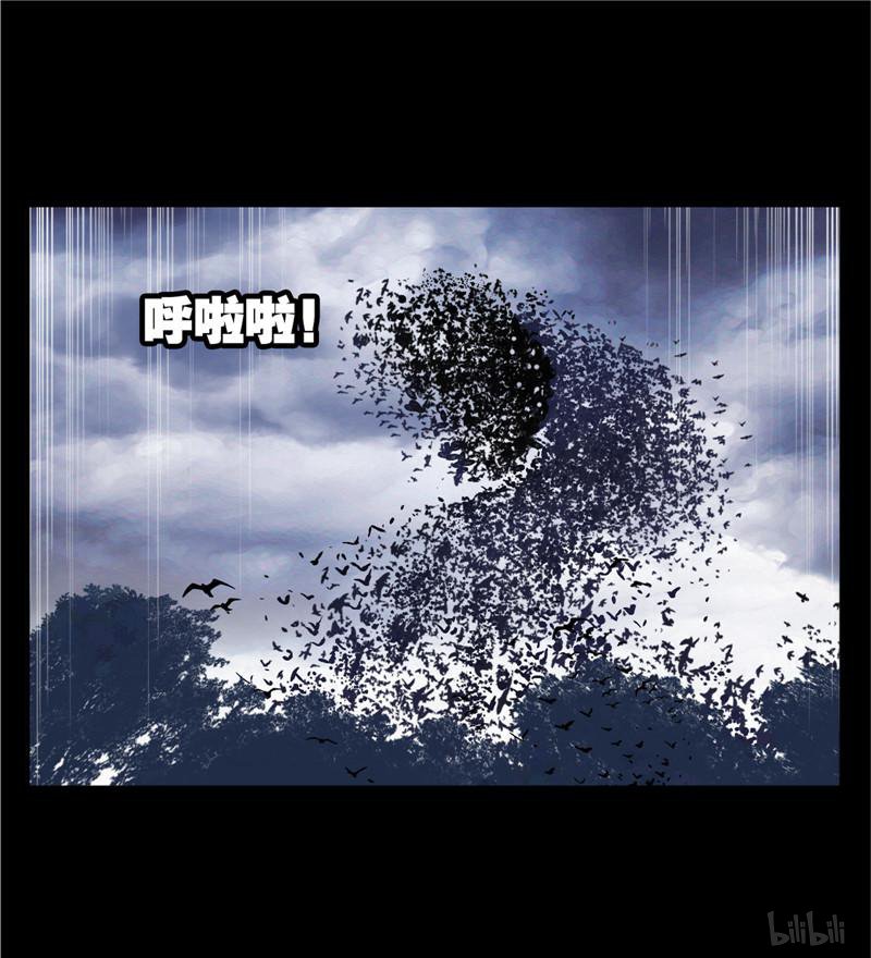 斗罗大陆255 第230话 换环（2）