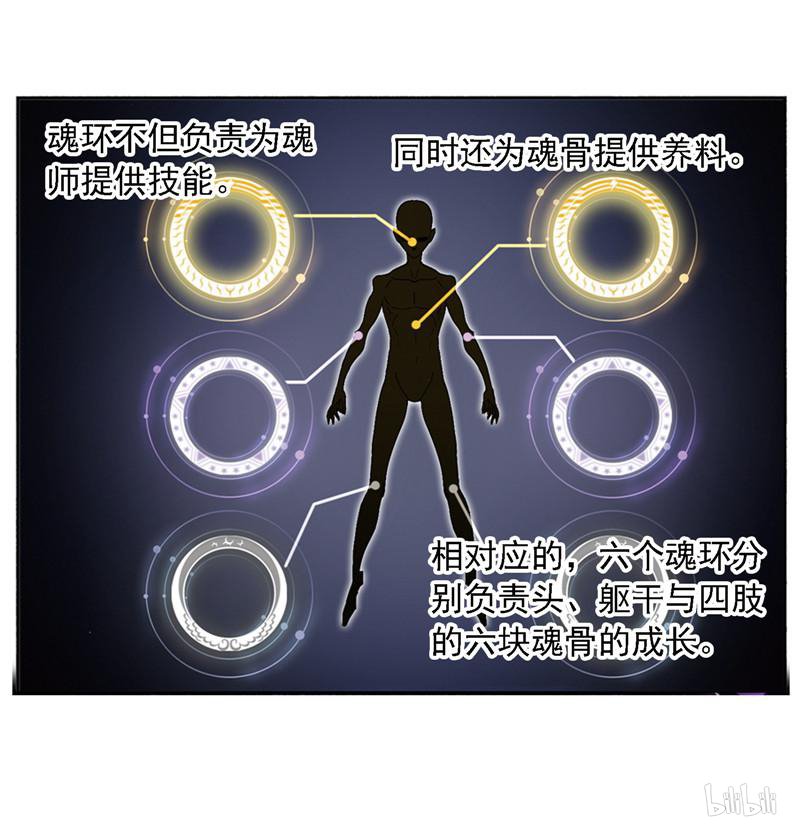 斗罗大陆267 第236话 开始修炼啦（2）