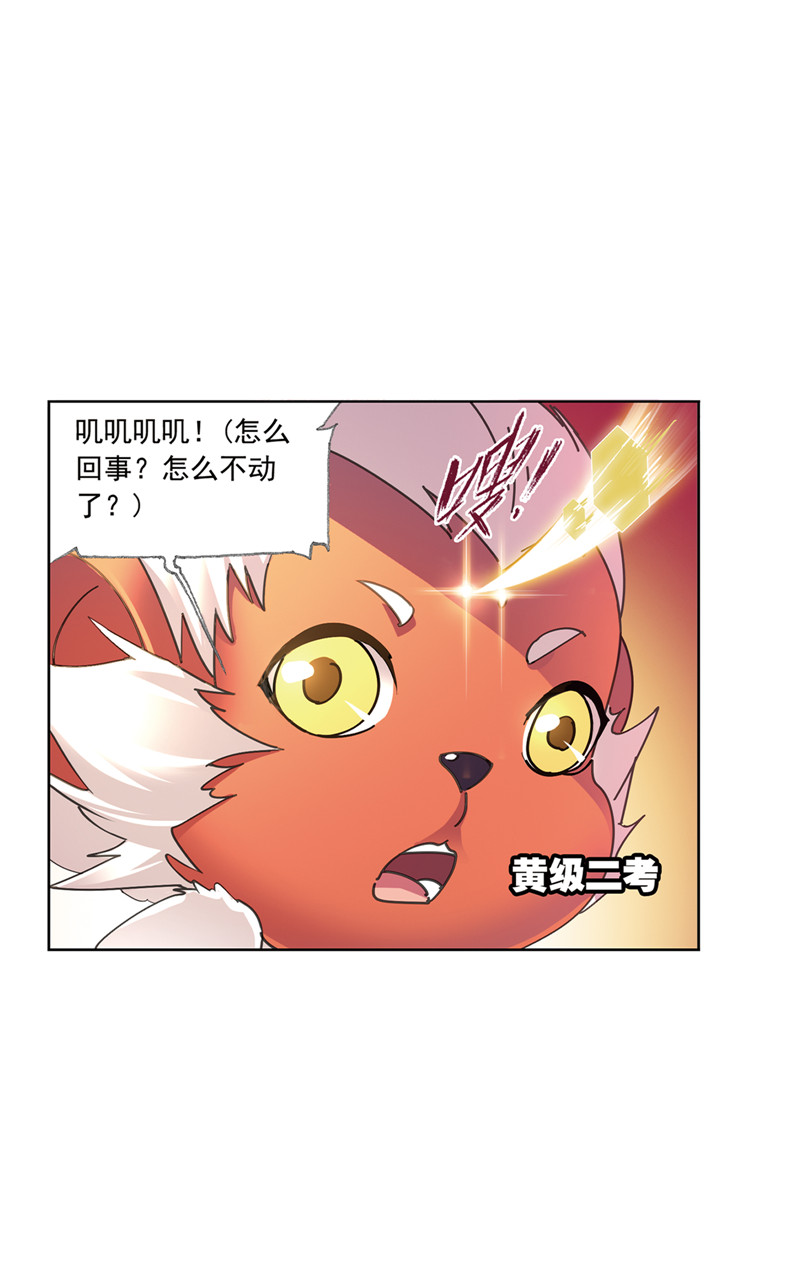 斗罗大陆214（1）