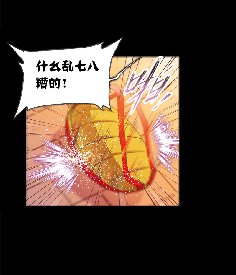 斗罗大陆228（2）