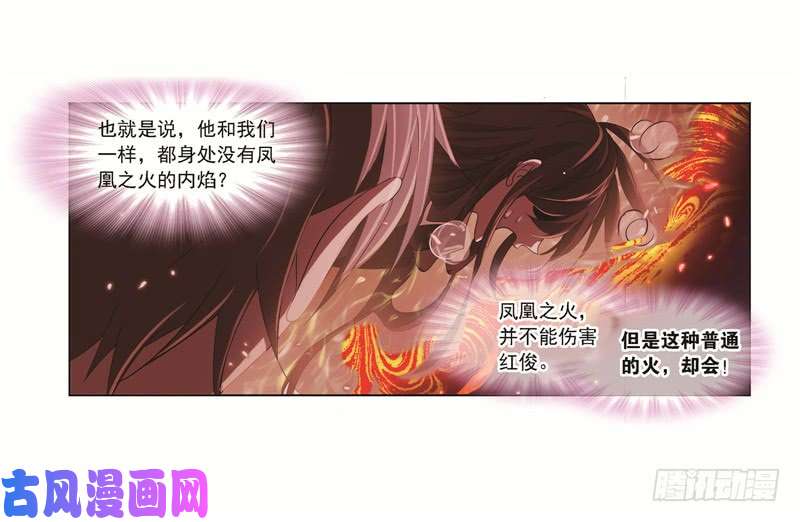 斗罗大陆第248话 勤奋的凤凰（2）