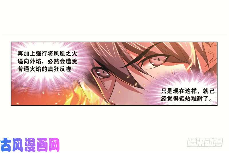 斗罗大陆第248话 勤奋的凤凰（2）