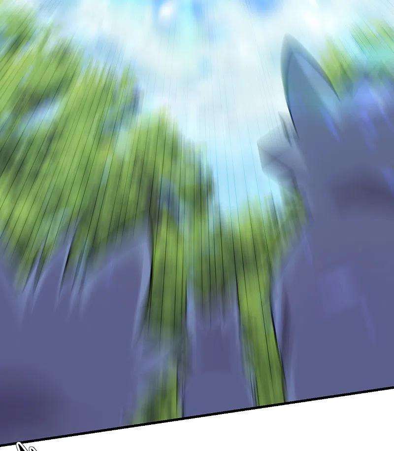 仙武帝尊184话 极速风狐！