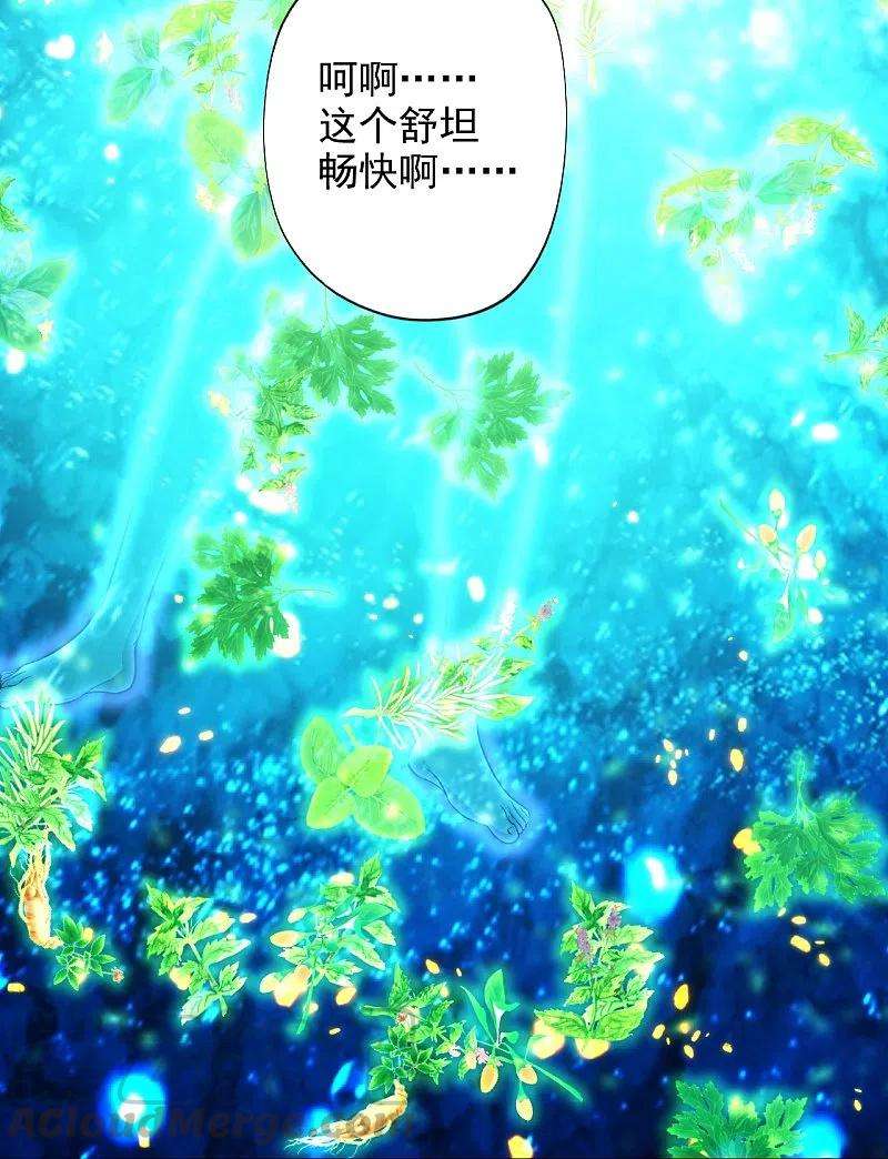 仙武帝尊209话 初炼三纹灵丹！