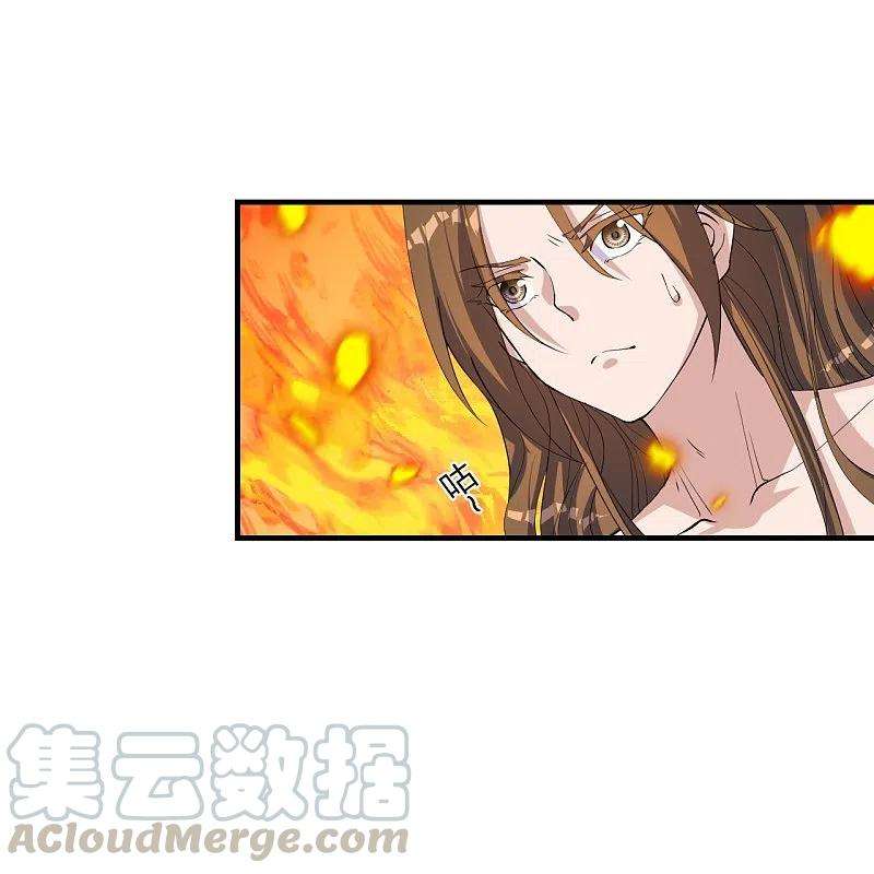 仙武帝尊226话 双重法阵！