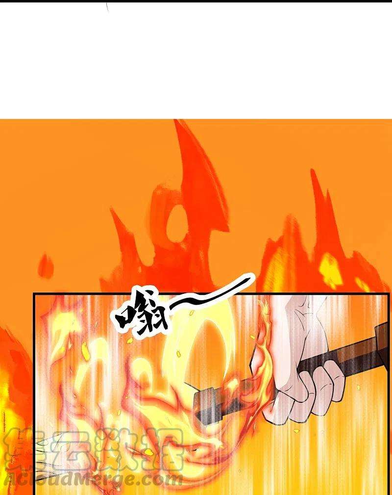 仙武帝尊226话 双重法阵！