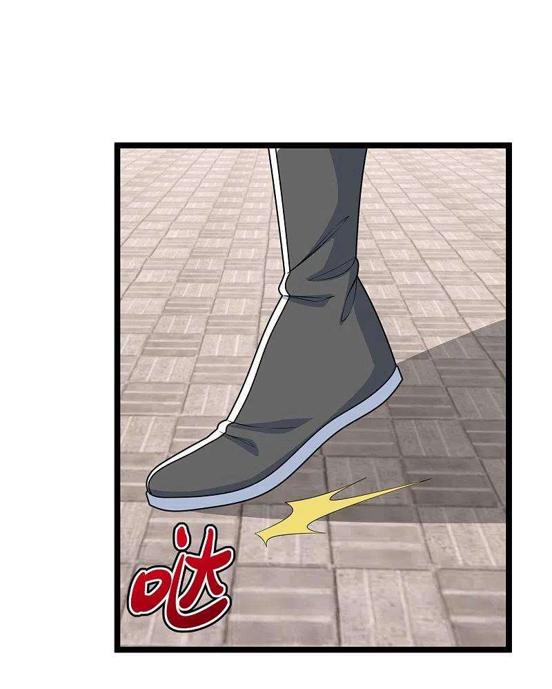 仙武帝尊247话 两个灵魂？