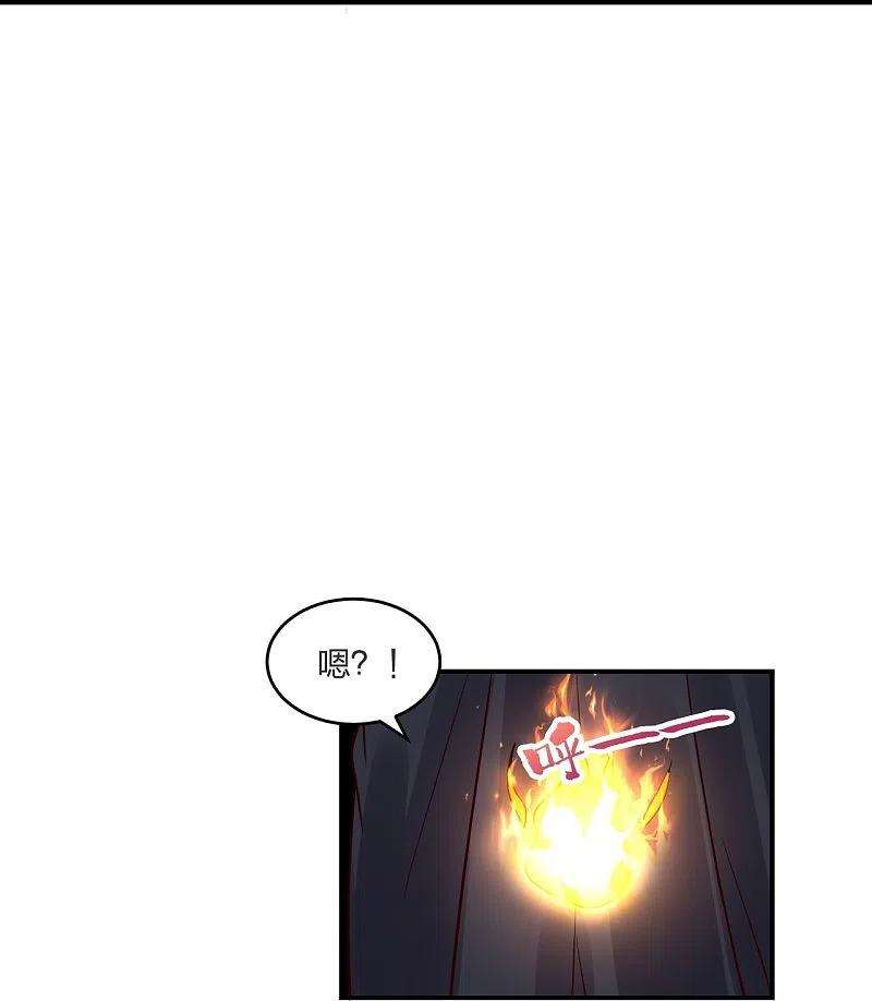 仙武帝尊294话 炸炉！