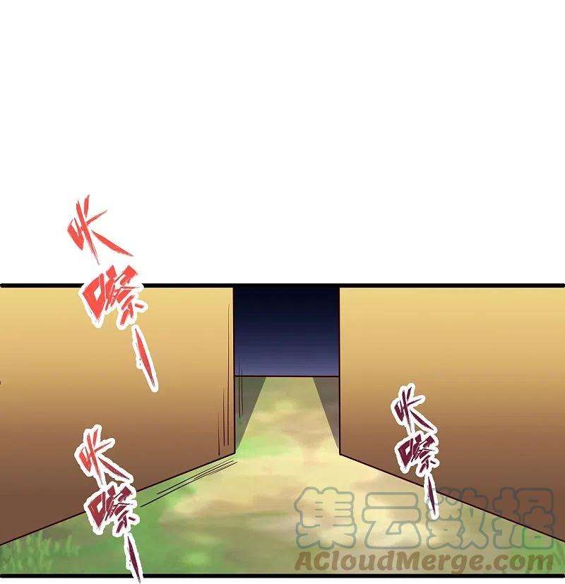 仙武帝尊301话 封号：丹圣！