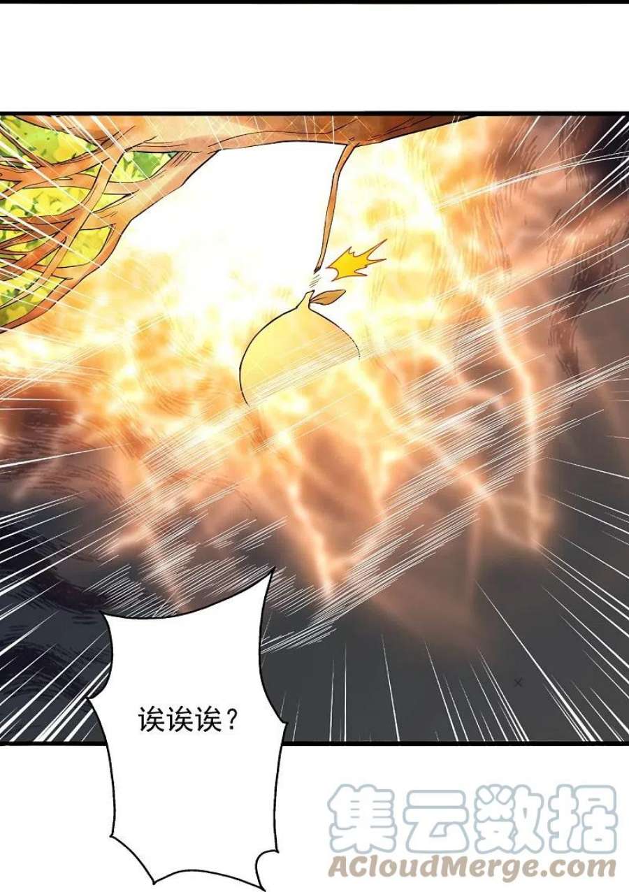 仙武帝尊338话 五彩灵参果！