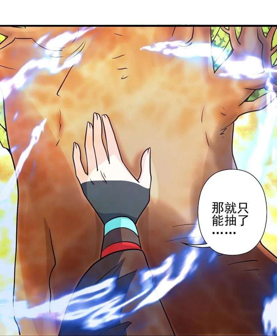 仙武帝尊338话 五彩灵参果！