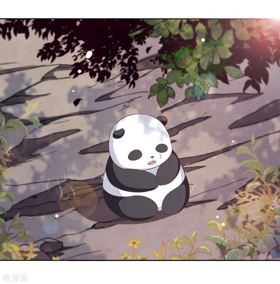 穿回古代做国宝16话 没白疼你