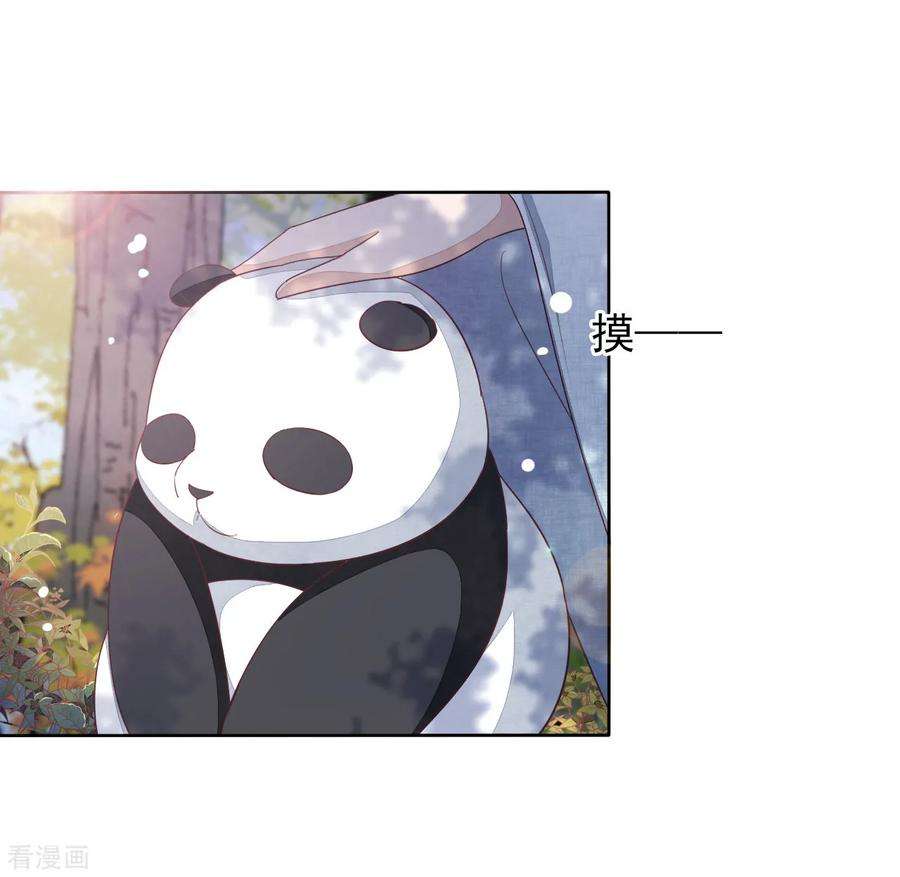 穿回古代做国宝16话 没白疼你