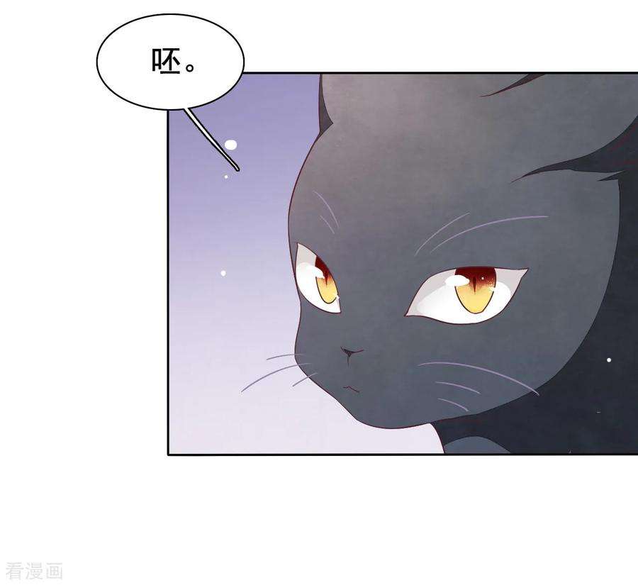 穿回古代做国宝17话 等你话来！
