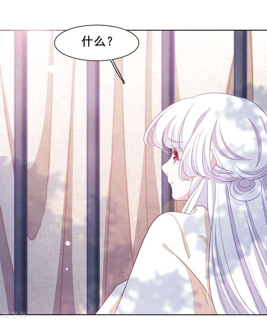 穿回古代做国宝20话 白发的猫妖？！